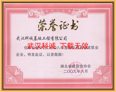2008年度湖北省先进建筑业企业