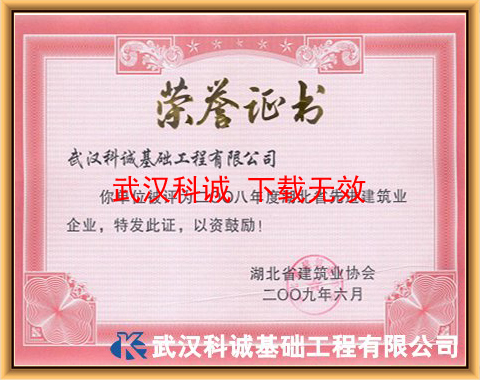 二OO八年度湖北省先进建筑业企业证书