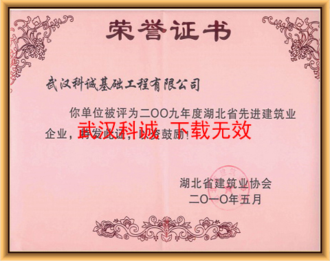 2009年度湖北省先进建筑业企业