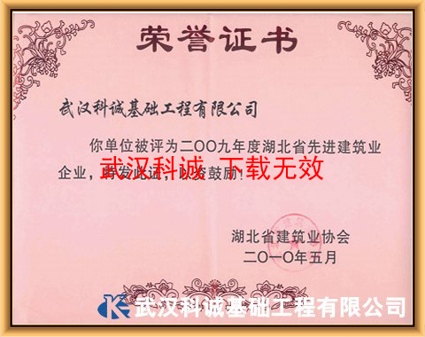 二OO九年度湖北省先进建筑业企业证书