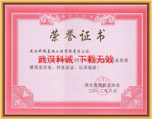 2010-2011年度湖北省建筑业先进建筑业企业