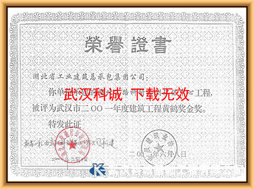 黄鹤奖金奖证书
