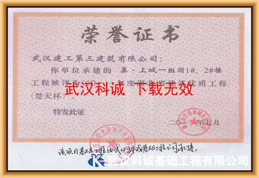 巢•上城一组团1#、2#楼获省建筑优质工程（楚天杯）