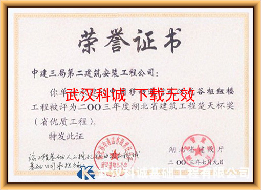2003年楚天杯工程证书