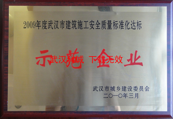 2009年度武汉市建筑施工安全质量标准化达标示范企业