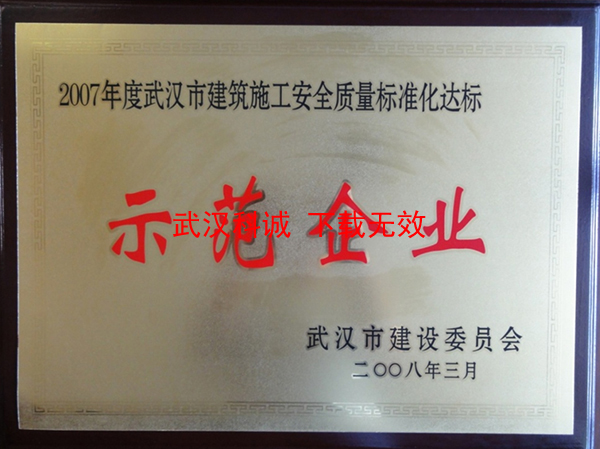 2007年度武汉市建筑施工安全质量标准化达标示范企业