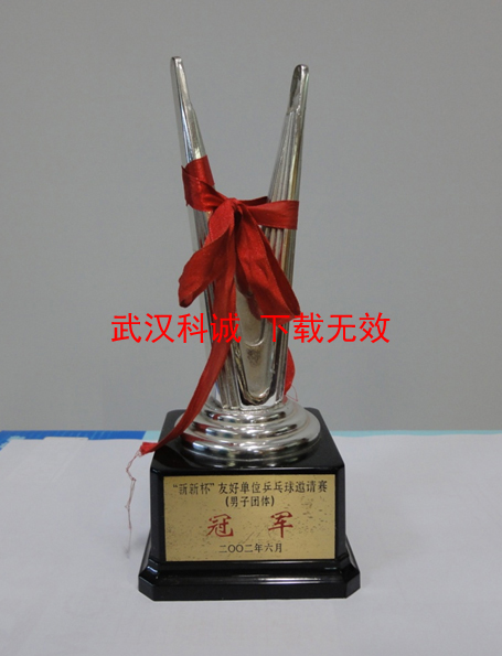 2002年6月“新新杯”友好单位乒乓球邀请赛(男子团体)冠军