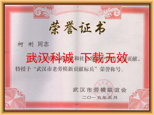 武汉市老劳模新贡献标兵证书