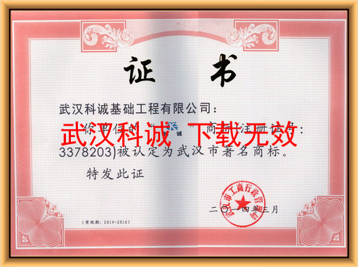 武汉市著名商标证书
